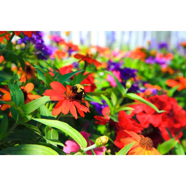 Summer Garden Border by Diane Labombarbe - Photographic Print 17 Stories Size: 51cm H x 76cm W on Productcaster.