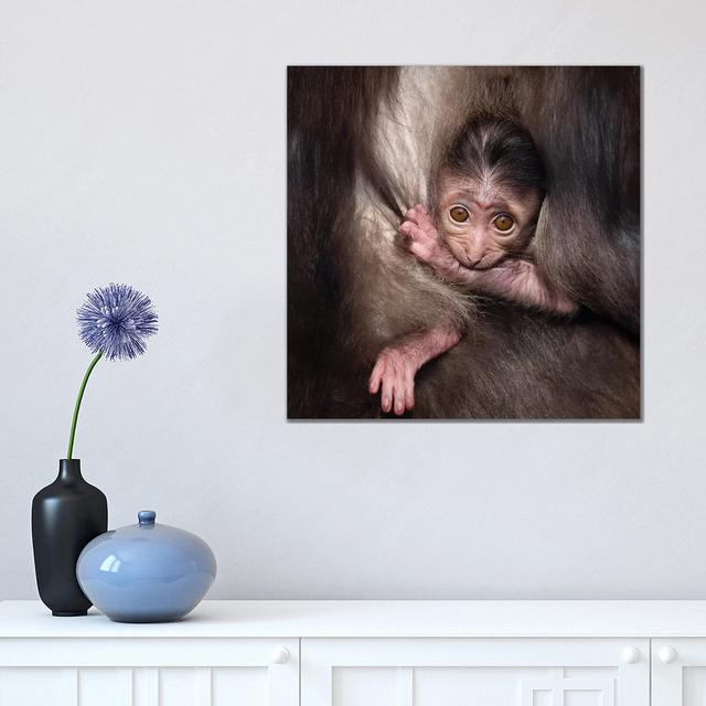 Monkey Baby by Goran Anastasovski - Wrapped Canvas Print Latitude Run Size: 45.72cm H x 45.72cm W x 1.905cm D on Productcaster.