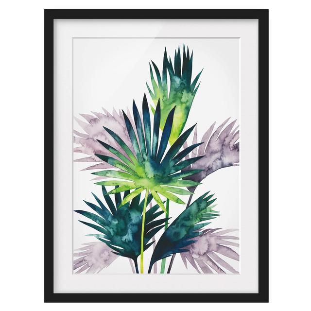 Exotic Foliage - Fan Palm - Picture Frame Painting Bay Isle Home Size: 40cm H x 30cm W x 2cm D, Frame Option: Black Framed on Productcaster.