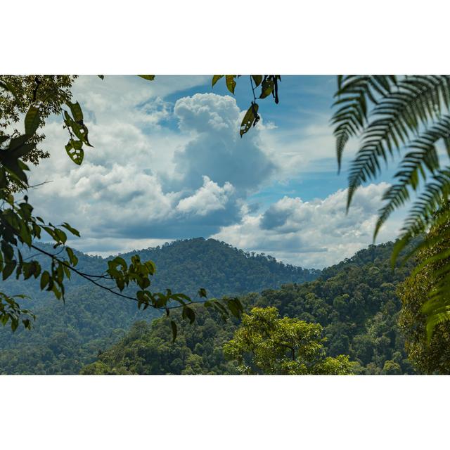 Lonan Jungle In Sumatra by Alvarobueno - Wrapped Canvas Print Alpen Home Size: 51cm H x 76cm W 3.8cm D on Productcaster.