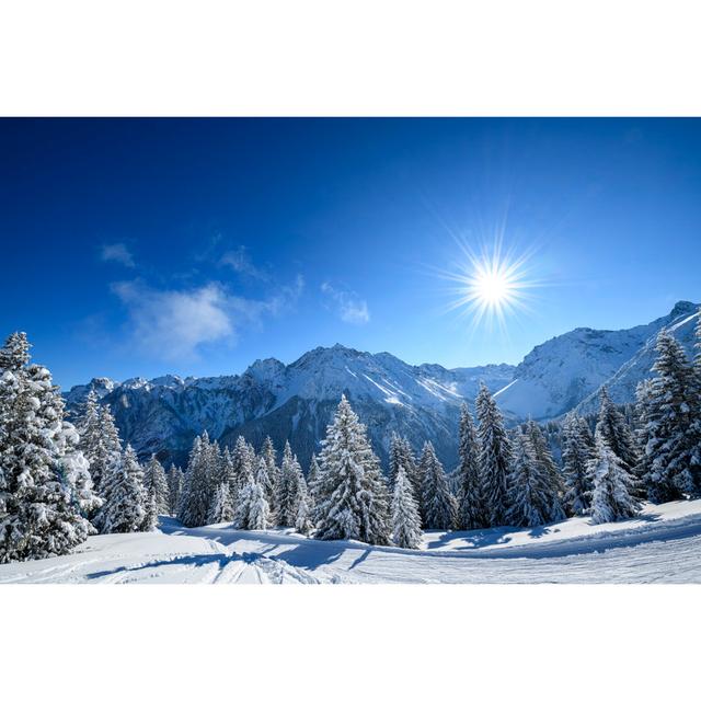 Snowcapped Trees by Kemter - Wrapped Canvas Art Prints Alpen Home Size: 30cm H x 46cm W x 3.8cm D on Productcaster.