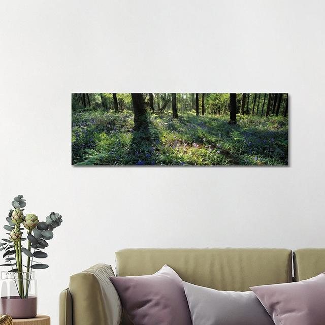 Bluebells Growing In A Forest, Exe Valley, Devon, England - Wrapped Canvas Panoramic Print Union Rustic Size: 40.64cm H x 121.92cm W x 1.91cm D on Productcaster.