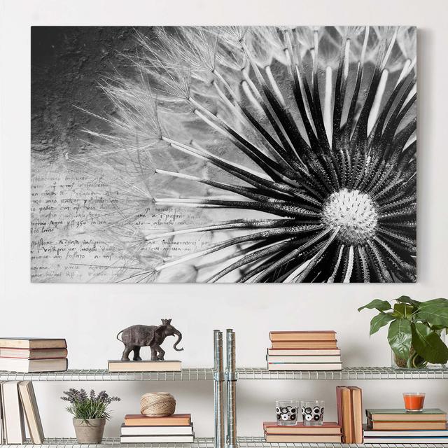 Leinwandbild Black and White Dandelion Clock East Urban Home Größe: 180 L x 120 B on Productcaster.