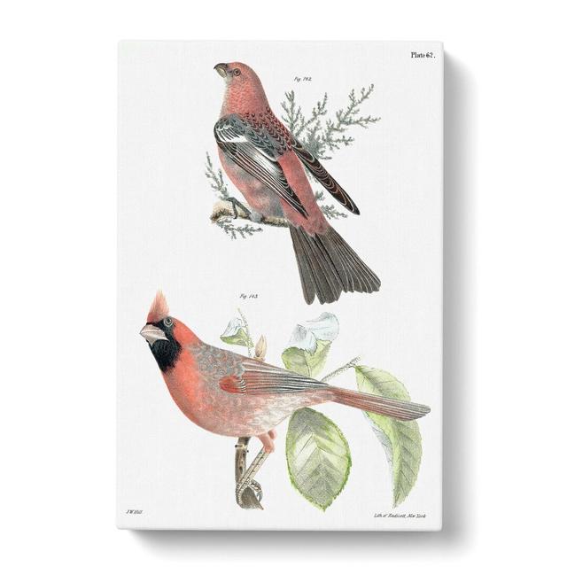 Pine Bulfinch & Cardinal Grosbeak Bird by J.E. De Kay - Wrapped Canvas Painting East Urban Home Size: 60cm H x 40cm W x 3cm D on Productcaster.