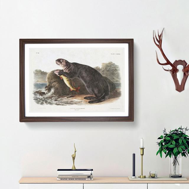 Sea Otter by J.W. Audubon - Picture Frame Painting Print on MDF East Urban Home Size: 36cm H x 48cm W x 2cm D, Frame Option: Walnut Framed on Productcaster.