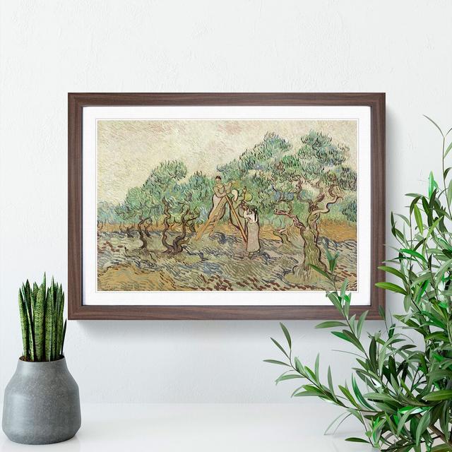 The Olive Orchard by Vincent Van Gogh - Picture Frame Painting East Urban Home Size: 27cm H x 36cm W x 2cm D, Frame Option: Walnut Framed on Productcaster.