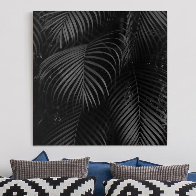 Leinwandbild Black Palm Fronds Sansibar Home Gerahmte Option: Grau, Format: 330 g/m² recycelte Canvas, Größe: 80 cm H x 80 cm B on Productcaster.