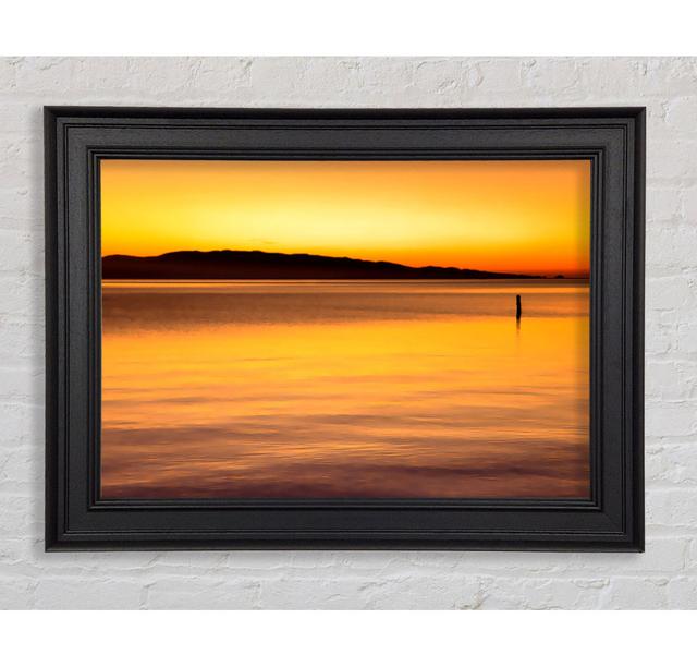 Dont Feel Lonely Framed Print House of Hampton Size: 42cm H x 59.7cm W on Productcaster.