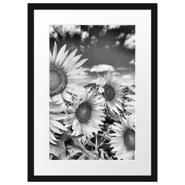 Gerahmtes Poster Sonnenblumenwiese unter Himmel East Urban Home Größe: 55 cm H x 40 cm B on Productcaster.