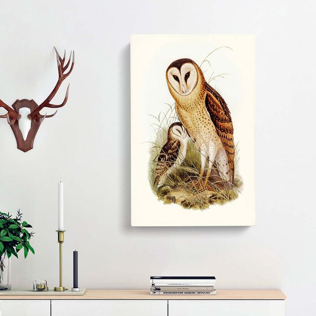 Grass-Owls by Elizabeth Gould - Wrapped Canvas Painting East Urban Home Size: 60cm H x 40cm W x 3cm D on Productcaster.