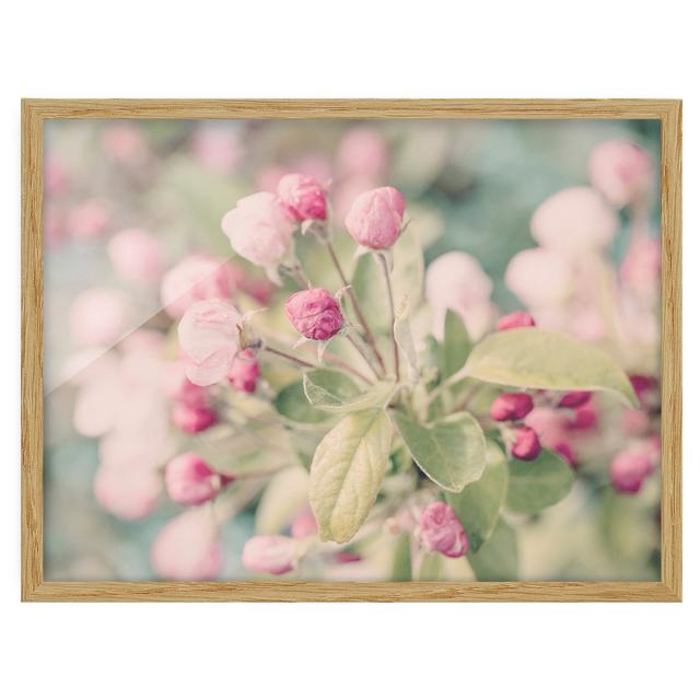 Apple Blossom Bokeh Pink - Picture Frame Graphic Art Ebern Designs Frame Option: Brown, Size: 30cm H x 40cm W x 2cm D on Productcaster.