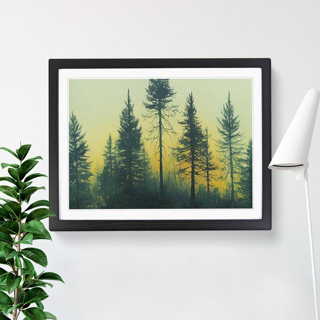 Pine Tree Forest Vol.2 - Single Picture Frame Print Alpen Home Frame Colour: Black, Size: 46cm H x 64cm W on Productcaster.