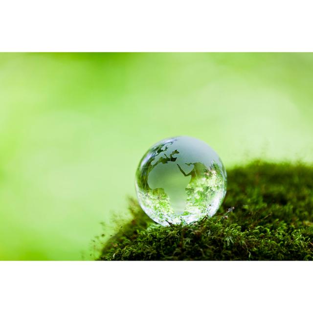 Earth On Mossy Rock In The Forest by Ooyoo - No Frame Art Prints on Canvas Latitude Run Size: 40cm H x 60cm W on Productcaster.