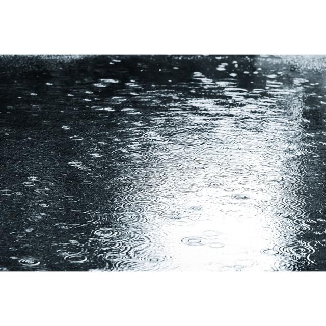 Wet Asphalt with Drops on Water Puddle During Rainy Weather by Mr_Twister - Wrapped Canvas Photograph 17 Stories Size: 20cm H x 30cm W on Productcaster.