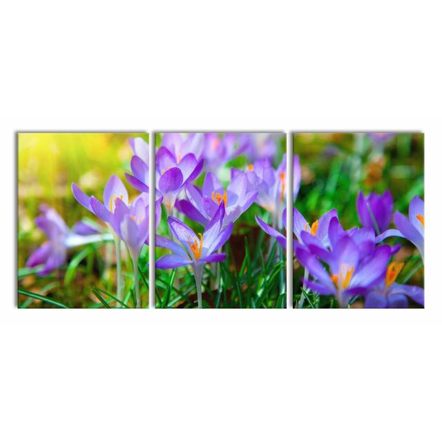 'Beautiful Crocus' Multi-Piece Image on Canvas East Urban Home Size: 80cm H x 180cm W on Productcaster.