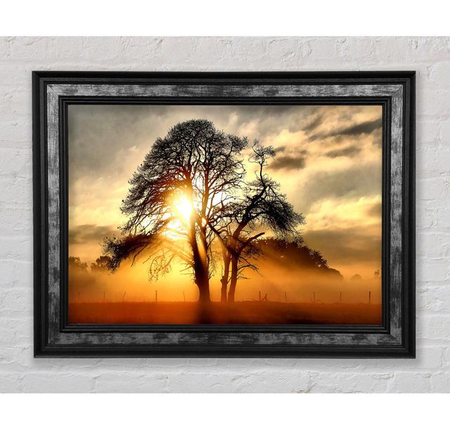 Fog Across The Field - Single Picture Frame Art Prints Bright Star Size: 21cm H x 42cm W x 8cm D on Productcaster.