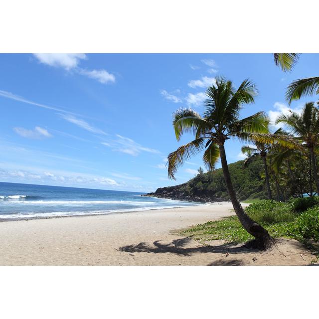 Palm Trees On The Beach by Imv - No Frame Art Prints on Canvas Beachcrest Home Size: 61cm H x 91cm W on Productcaster.