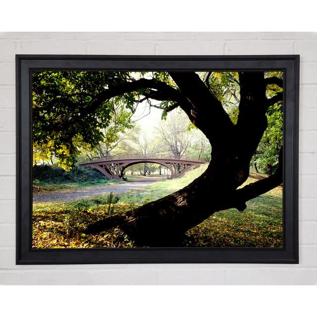 Central Park Bridge New York City Framed Print Ebern Designs Size: 42cm H x 59.7cm W on Productcaster.