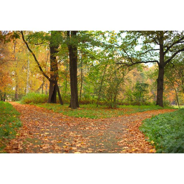 Autumn by Gbh007 - Wrapped Canvas Photograph Alpen Home Size: 61cm H x 91cm W on Productcaster.