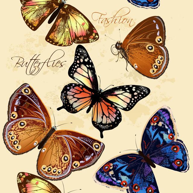 Onarga Butterflies Wallpaper by Mashakotcur - Wrapped Canvas Graphic Art Brambly Cottage Size: 122cm H x 122cm W x 3.8cm D on Productcaster.