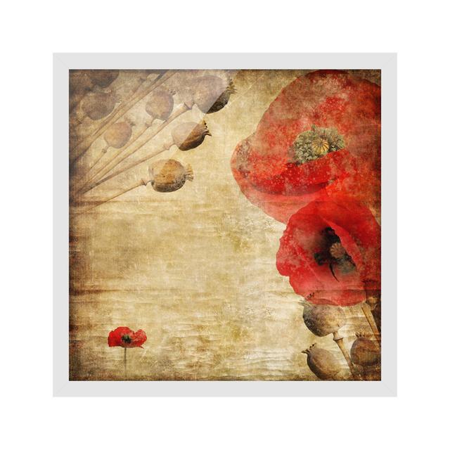 Poppy Flower - Picture Frame Graphic Art Rosalind Wheeler Frame Option: White Framed, Size: 50cm H x 50cm W x 2cm D on Productcaster.