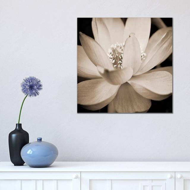 Sepia Lily II by Glenn Taylor - Wrapped Canvas Gallery-Wrapped Canvas Giclée Latitude Run Size: 45.72cm H x 45.72cm W x 3.81cm D on Productcaster.