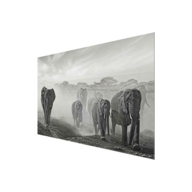 Herd of Elephants - Photograph Print on Glass East Urban Home Size: 60cm H x 90cm W x 0.4cm D on Productcaster.