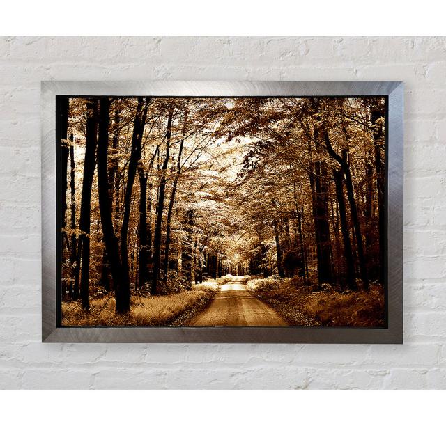 Hidden Forest Road - Single Picture Frame Art Prints Bright Star Size: 100cm H x 141.4cm W x 3.4cm D on Productcaster.