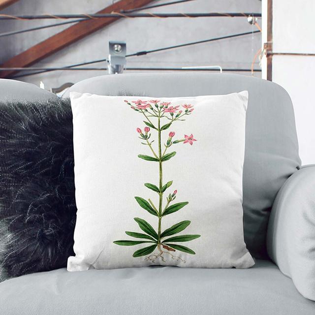 European Centaury Flowers Illustration Cushion with Filling East Urban Home Size: 55cm H x 55cm W x 20cm D, Backing Colour: Black on Productcaster.