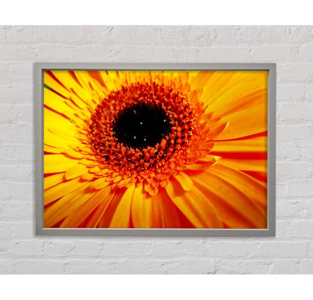 Golden Gerbera Centre - Einzelner Bilderrahmen Kunstdrucke auf Leinwand Ebern Designs Größe: 84,1 cm H x 118,9 cm B x 3,3 cm T on Productcaster.