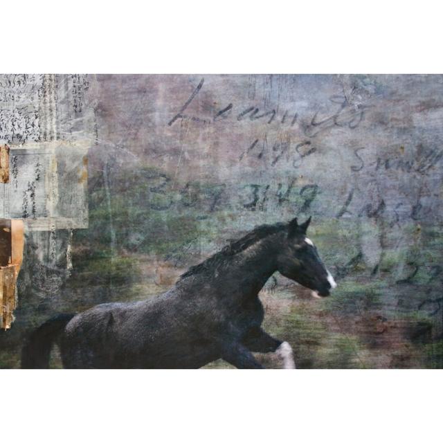 Horse Exposures I by Susan Friedman - Wrapped Canvas Painting Gracie Oaks Size: 20cm H x 30cm W on Productcaster.