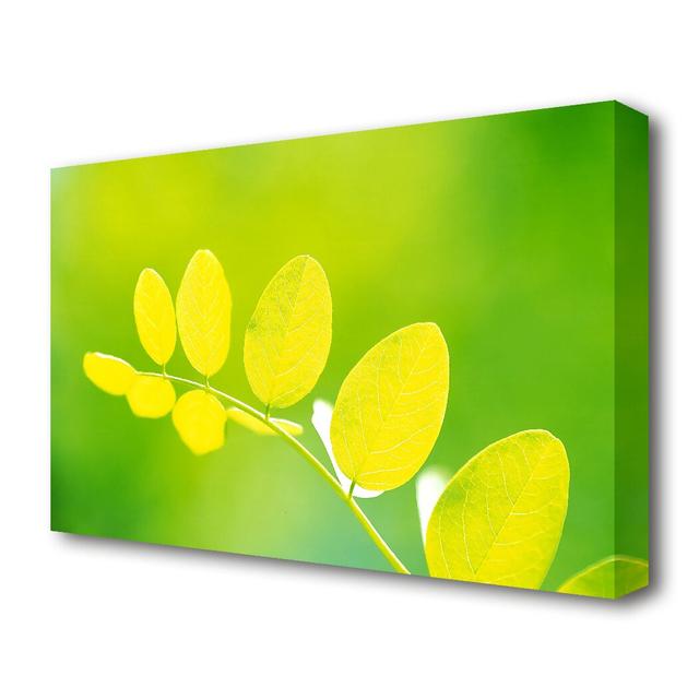 Leaves In The Golden Sun Flowers Canvas Print Wall Art East Urban Home Size: 50.8 cm H x 81.3 cm W on Productcaster.