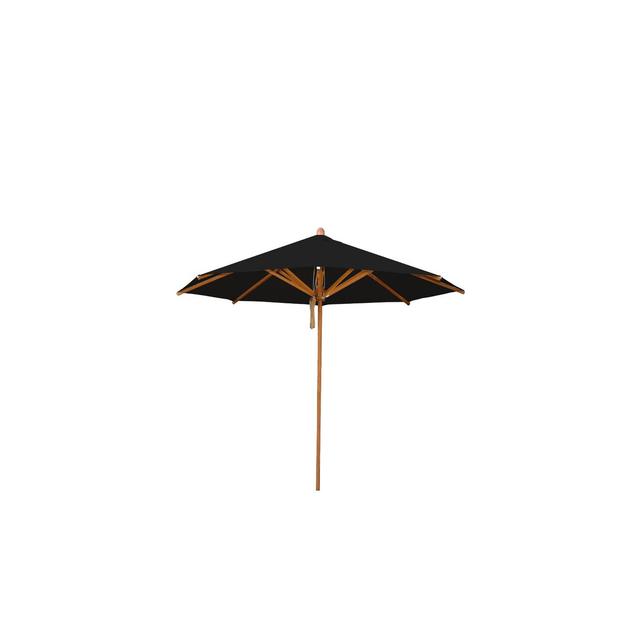 Yadira 3m Traditional Parasol Freeport Park Colour (Fabric): Black, Size: 250 cm W x 250 cm D on Productcaster.