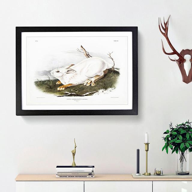 Northern Hare in Winter by J.W. Audubon - Picture Frame Painting Print East Urban Home Size: 48cm H x 65cm W x 2cm D, Frame Option: Black Framed on Productcaster.