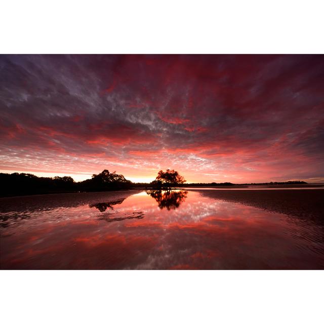 Rural Australian Wetlands by Quirex - No Frame Print on Canvas 17 Stories Size: 30cm H x 46cm W on Productcaster.