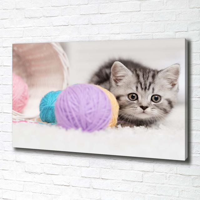 Cat with Hanks - Unframed Art Prints on Canvas Brayden Studio on Productcaster.