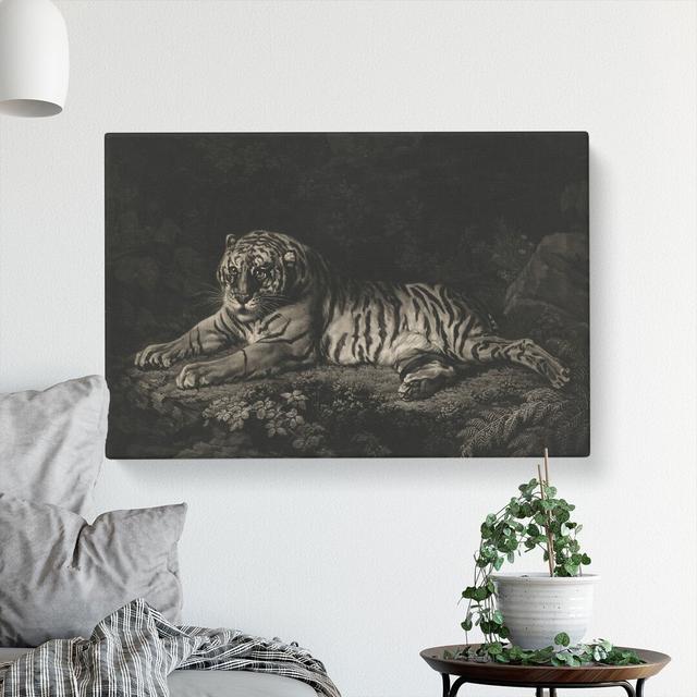 A Tiger by George Stubbs - Wrapped Canvas Print East Urban Home Size: 40cm H x 60cm W x 3cm D on Productcaster.