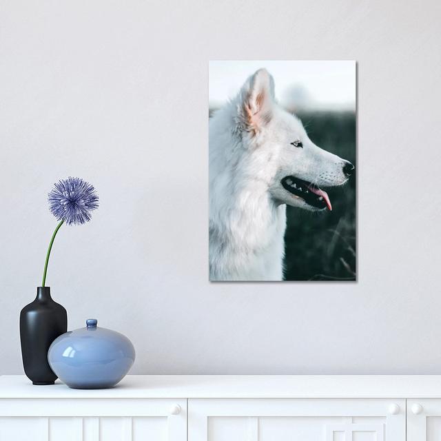 Snow Dog - Wrapped Canvas Print Alpen Home Size: 45.72cm H x 30.48cm W x 1.905cm D on Productcaster.