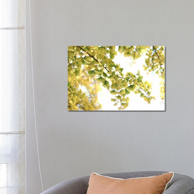 Golden Ginkgo Biloba by Alyson Fennell - Wrapped Canvas Gallery-Wrapped Canvas Giclée Latitude Run Size: 45.72cm H x 66.04cm W x 3.81cm D on Productcaster.