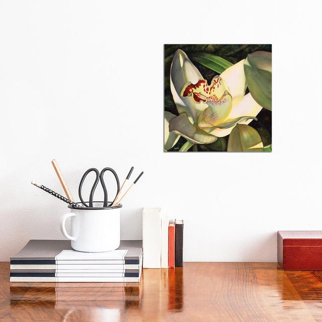 Pale Orchid I by Lisa Lopuck - Wrapped Canvas Gallery-Wrapped Canvas Giclée ClassicLiving Size: 30.48cm H x 30.48cm W x 1.91cm D on Productcaster.