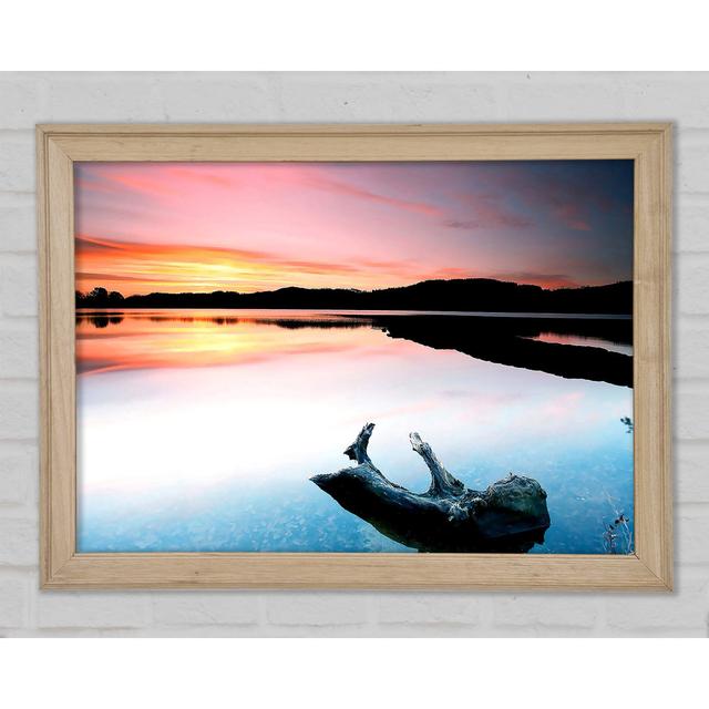 Driftwood In The Tranquil Ocean Framed Print Highland Dunes Size: 42.1cm H x 59.7cm W x 1.5cm D on Productcaster.