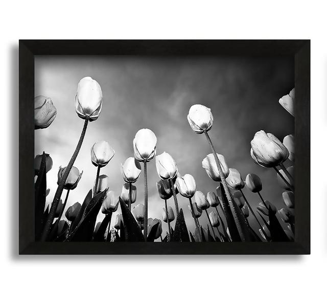 Black And White Tulip Skys - Picture Frame Photograph on Canvas Ebern Designs Size: 42cm H x 60cm W x 10cm D on Productcaster.