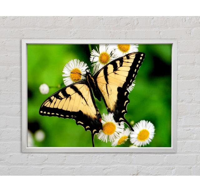 Yellow Butterfly - Print Ebern Designs Size: 100cm H x 141.4cm W x 3.3cm D on Productcaster.