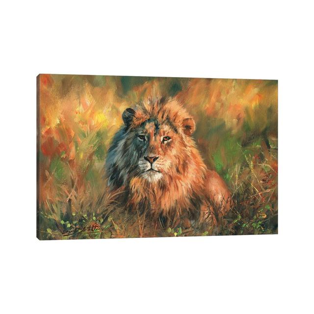 Lion at Sunset by David Stribbling - Wrapped Canvas Painting Latitude Vive Size: 101.5cm H x 152.5cm W on Productcaster.