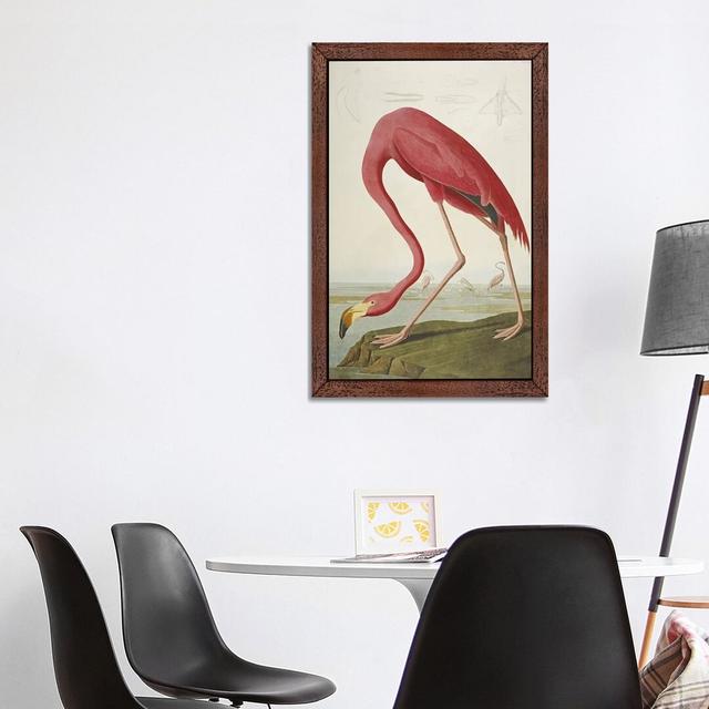 American Flamingo by John Audubon - Floater Frame Painting on Canvas 17 Stories Size: 152.4cm H x 101.6cm W x 3.81cm D, Frame Option: Brown Framed on Productcaster.