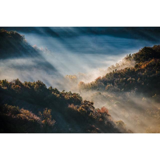 Morning Fog In Forest by CasarsaGuru - No Frame Art Prints on Canvas Alpen Home Size: 61cm H x 91cm W on Productcaster.