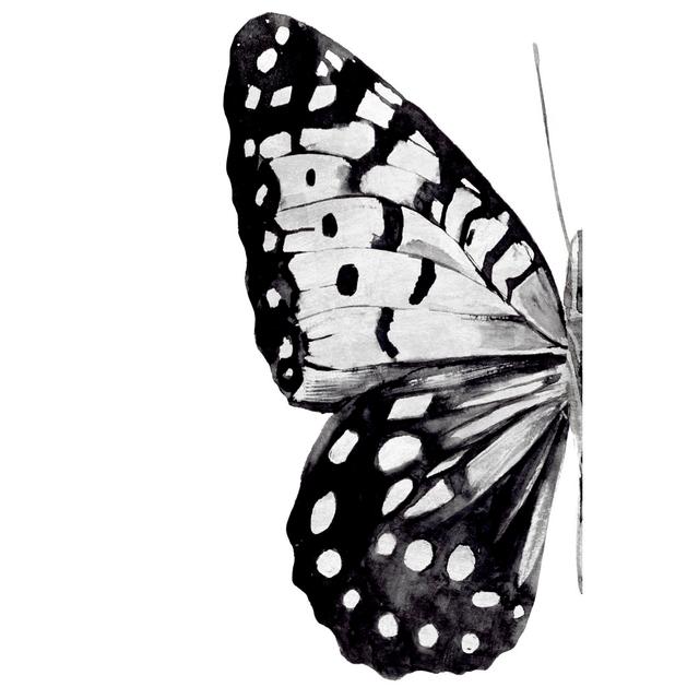 Monochrome Wings I - Wrapped Canvas Painting Brambly Cottage Size: 46cm H x 30cm W on Productcaster.