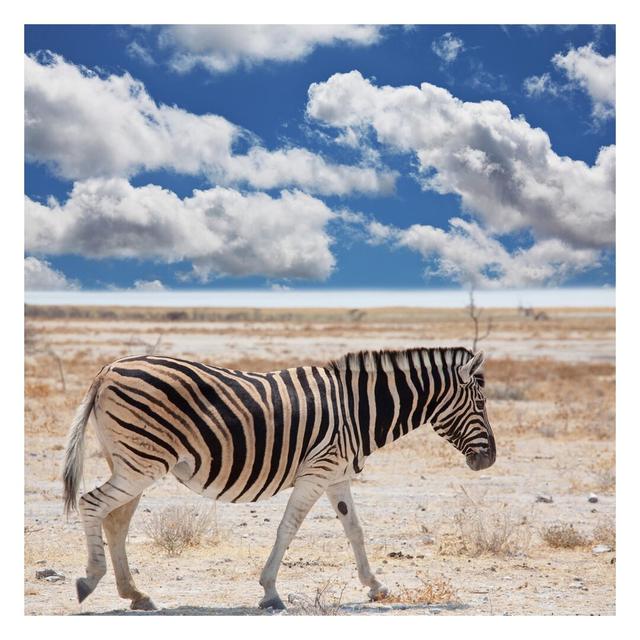 Matt Fototapete Zebra in der Savanne 2,4 m x 240 cm East Urban Home on Productcaster.