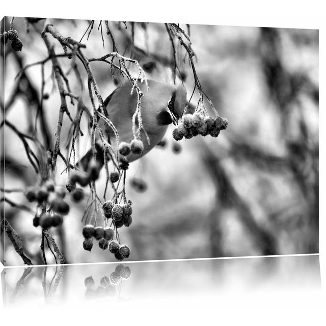 Leinwandbild Kleiner Vogel im Vogelbeerbaum in Monochrom East Urban Home Größe: 70 cm H x 100 cm B on Productcaster.