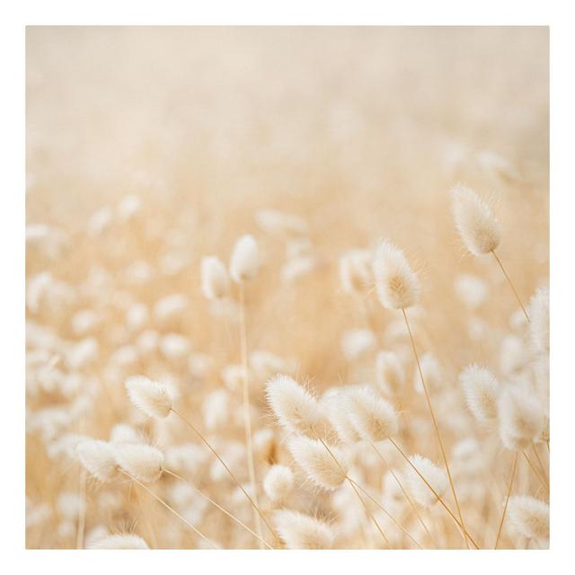 Delicate Grasses - Wrapped Canvas Photograph Ebern Designs Size: 40cm H x 40cm W, Format: 330g/m³ recycled canvas on Productcaster.